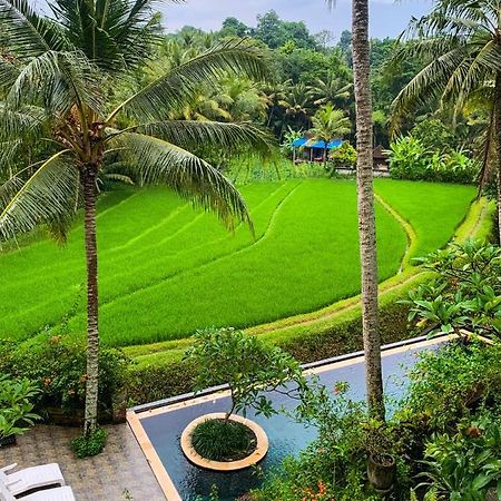Selemadeg Umasari Rice Terrace Villa By Agata מראה חיצוני תמונה