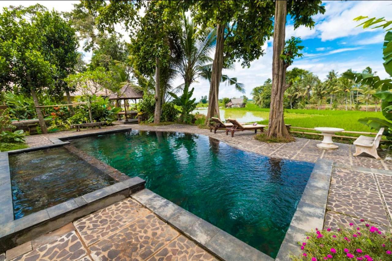 Selemadeg Umasari Rice Terrace Villa By Agata מראה חיצוני תמונה