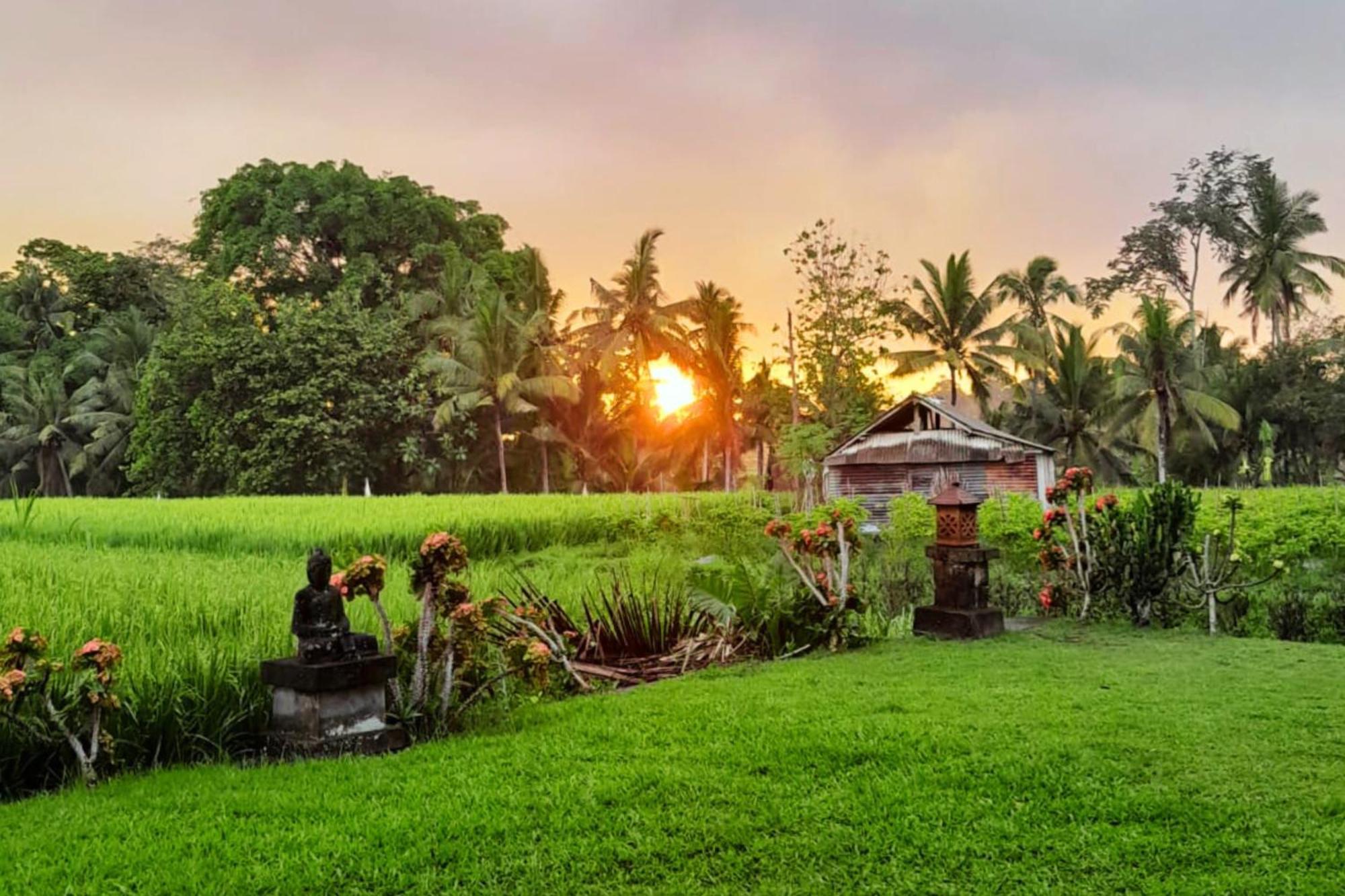 Selemadeg Umasari Rice Terrace Villa By Agata מראה חיצוני תמונה